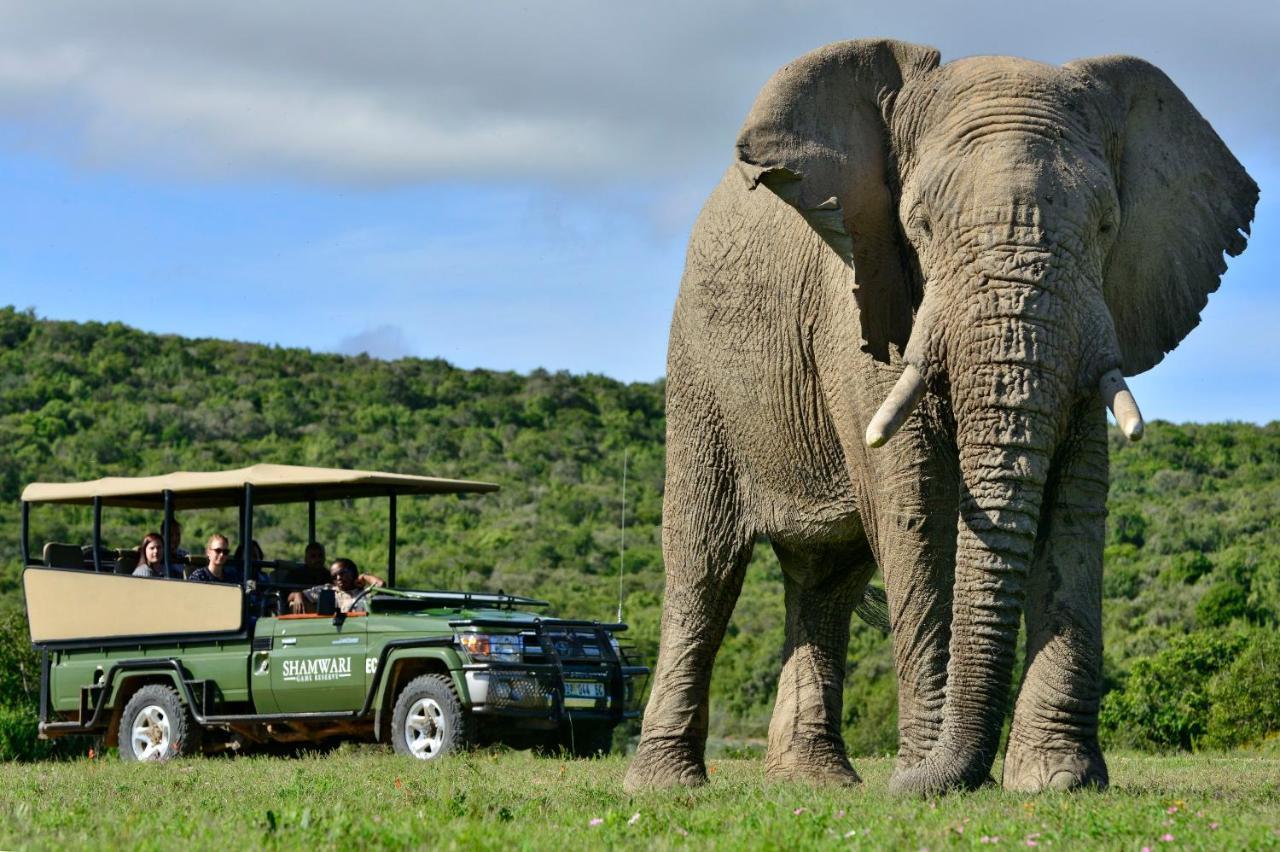 Shamwari Riverdene Paterson Kültér fotó