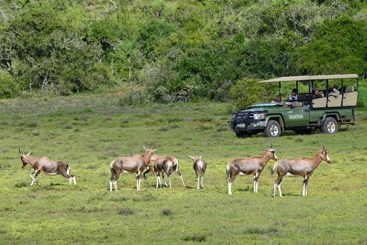 Shamwari Riverdene Paterson Kültér fotó