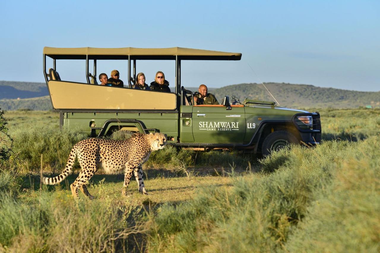 Shamwari Riverdene Paterson Kültér fotó