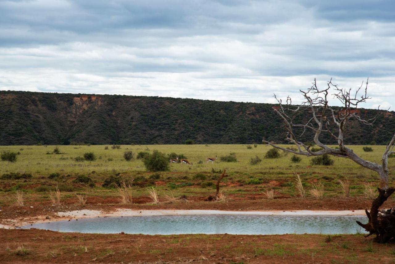 Shamwari Riverdene Paterson Kültér fotó